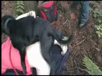 Outdoor dog sex with beastiality lovers